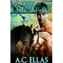 Test of Champions