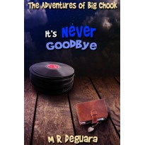 It's Never Goodbye