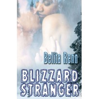 Blizzard Stranger