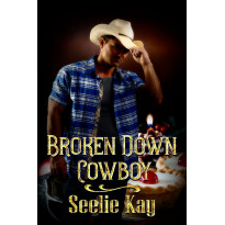 Broken Down Cowboy