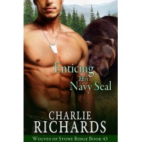 Enticing his Navy Seal