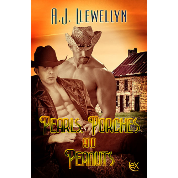 Rainy Days and Mondays by A. J. Llewellyn